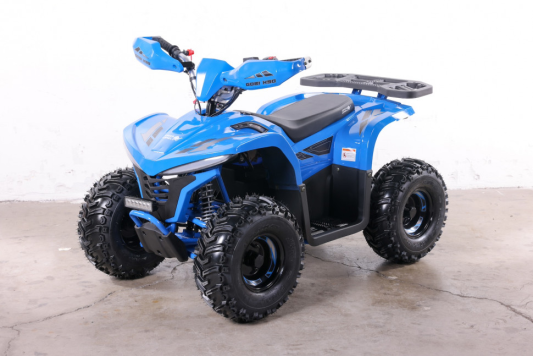 Квадроцикл GreenCamel Гоби K90 (48V 750W R7 Дифф) LUX Bluetooth 