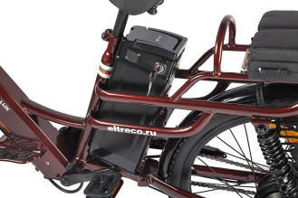 Электровелосипед GREEN CITY e-ALFA LUX, красный