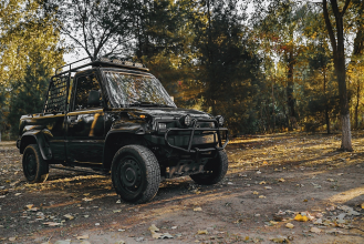 Электрический UTV Pickup (Грузовой гольфкар) 2хместный 2/4WD