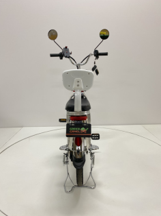 Электровелосипед GreenCamel Транк 20 V8 литой (R20 500W 60V20Ah)