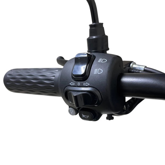 Электротрицикл CityCoco TRIKE GT-EV5 