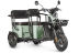 Электротрицикл Wanshida LC300 60V 1000Вт